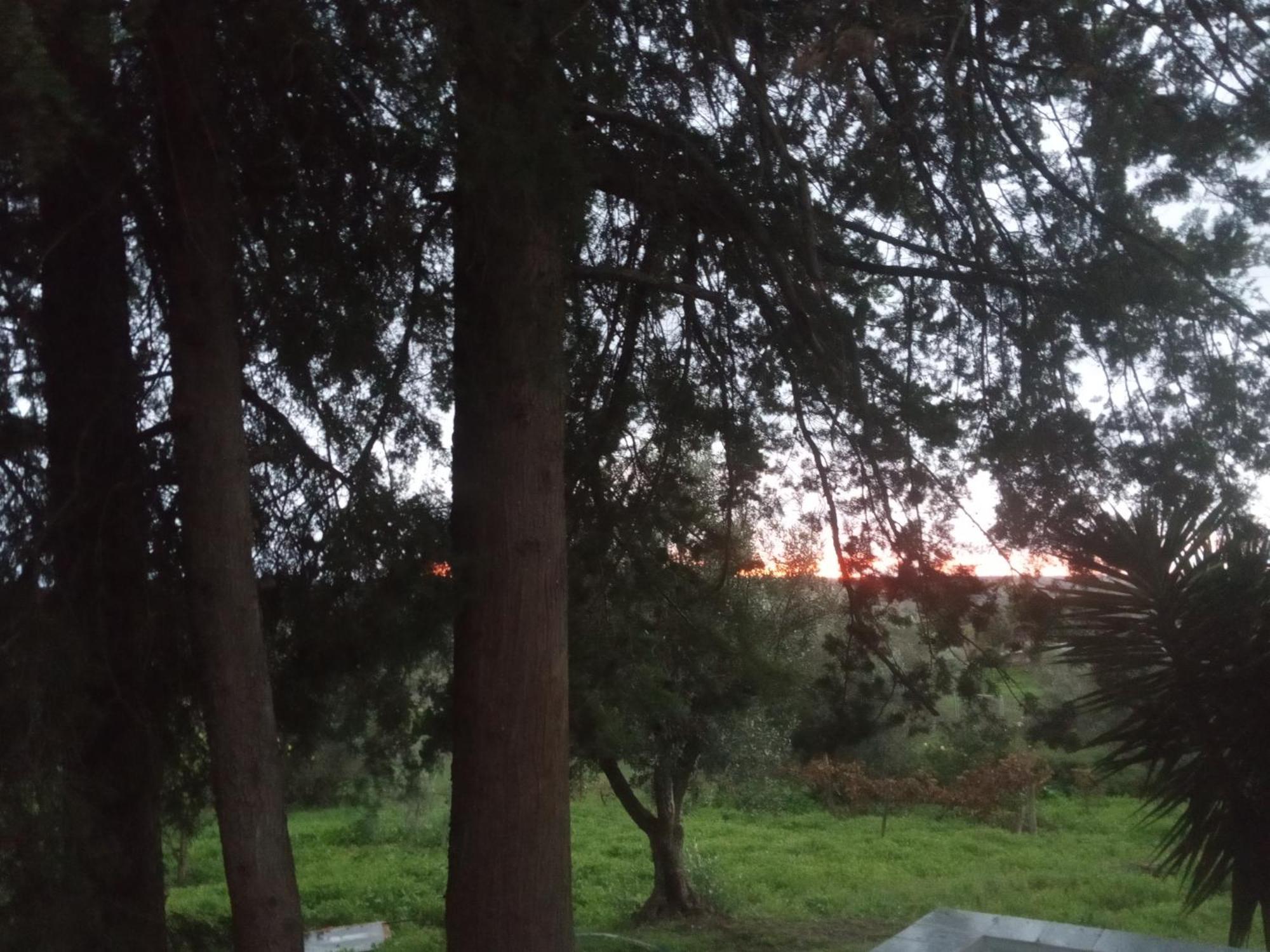 فيلا Monte Da Samarra أفيس المظهر الخارجي الصورة